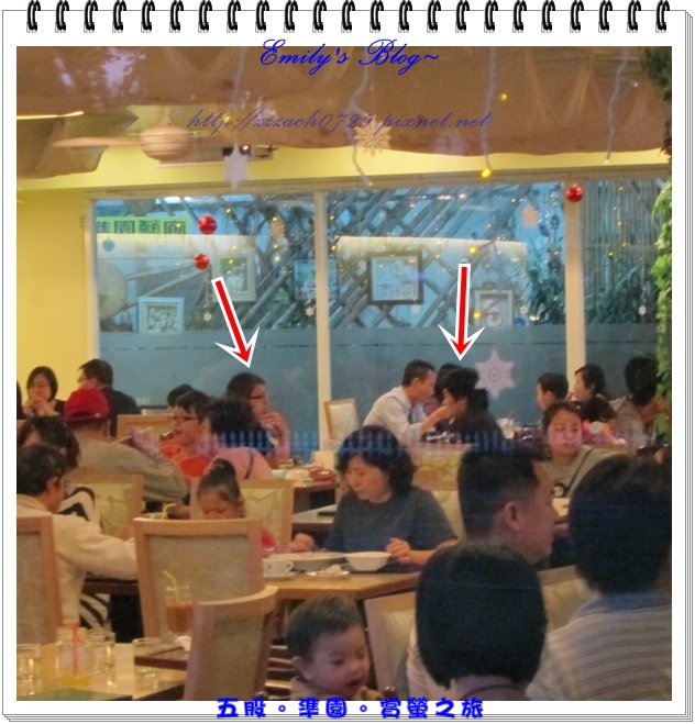 cats11.jpg cats11.jpg