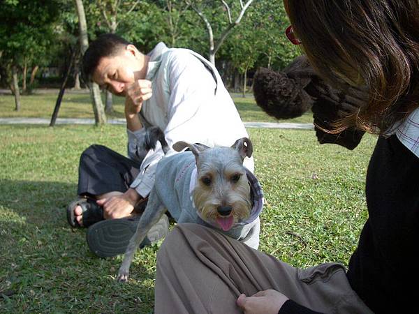 祈求大安森林公園永遠都有人在遛狗！