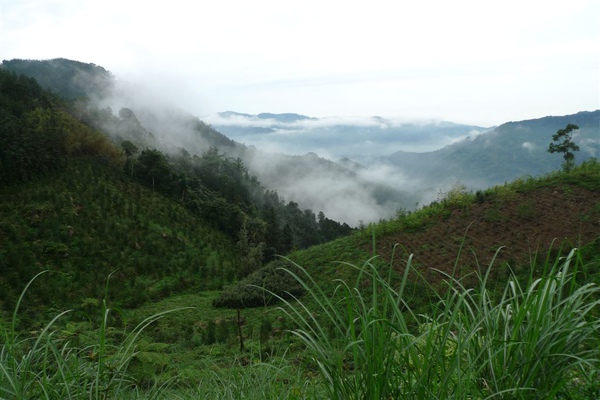 獅頭山 要去向天湖路上發現美景