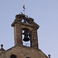 教堂ㄉ頂鐘都是送子鳥ㄉ別墅