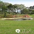 綠光花園戶外.jpg