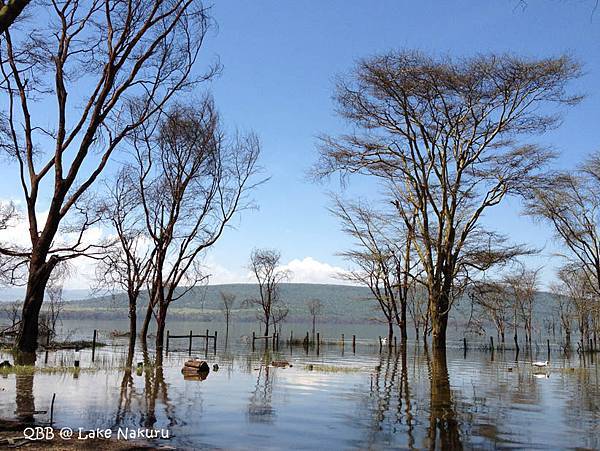 Lake Nakuru