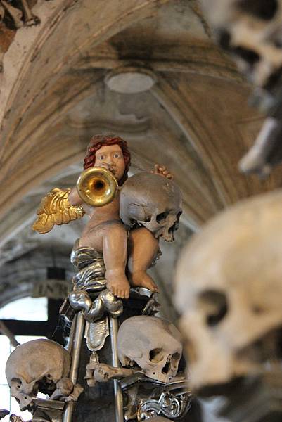 IMG_2925 IMG_2925
