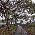 Waianapanapa State Park .JPG