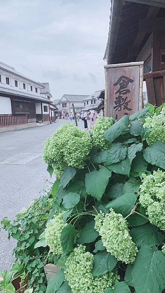 2023 掰咖的「吾障礙」之旅-倉敷美觀地區