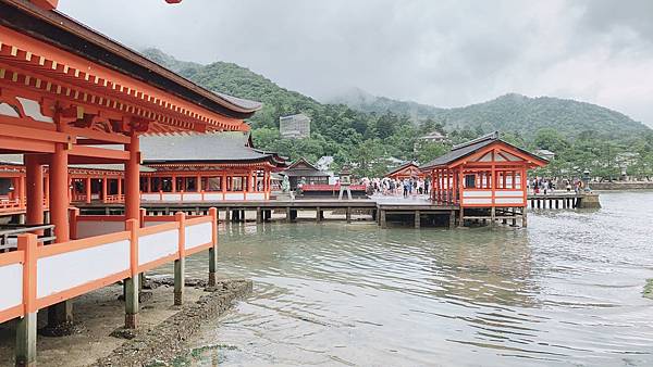 2023 掰咖的「吾障礙」之旅-宮島一日遊