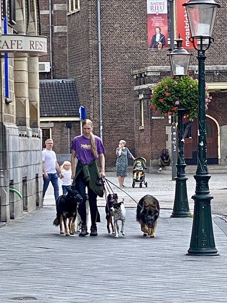 2024掰咖登歐陸—荷比德自由行 魅力大學城烏特勒支