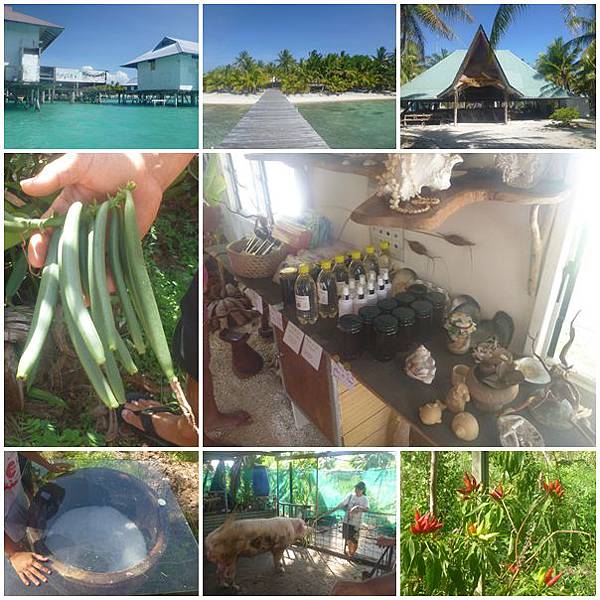 Tahiti 9-6 Tahiti 9-6