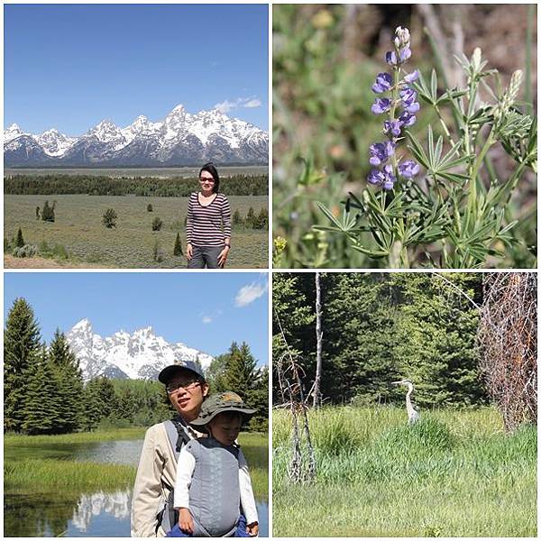 20170605_1.jpg 20170605_1.jpg