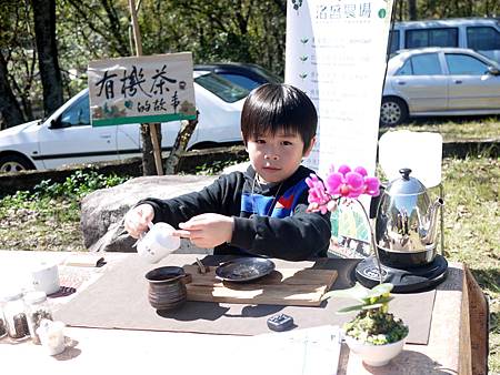 20120212櫻花茶會-洺盛-小帥哥-4 20120212櫻花茶會-洺盛-小帥哥-4