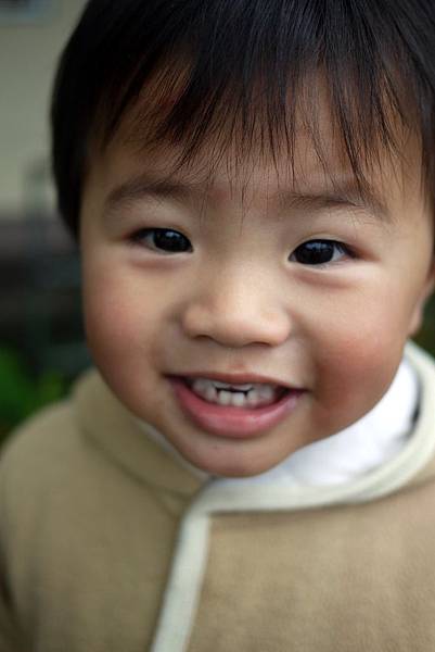 20120309茶園-34 20120309茶園-34