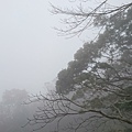 雲霧繚繞(龍山巖)