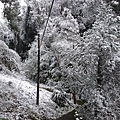 雪景(龍山巖)