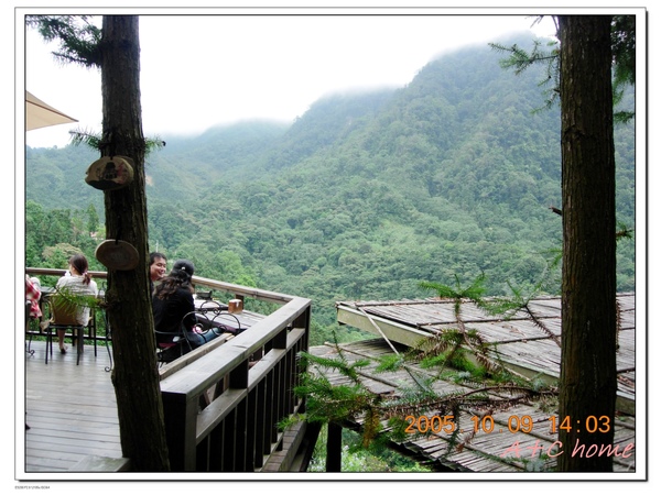 三形玫瑰四景.jpg