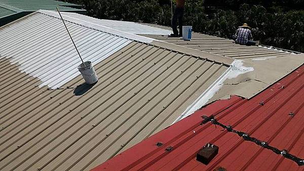 1099503346_l.jpg 1099503346_l.jpg