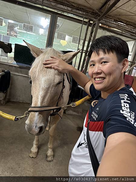 桃園騎馬體驗－原野馬術俱樂部暨訓練中心/原野馬場