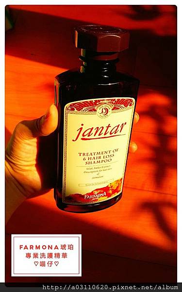 CYMERA_20150819_160748.jpg 試用