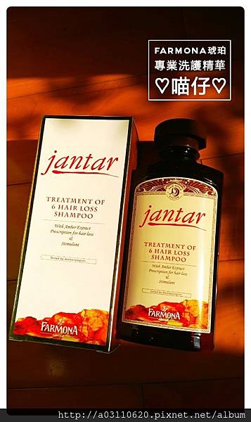 CYMERA_20150819_161050.jpg 試用