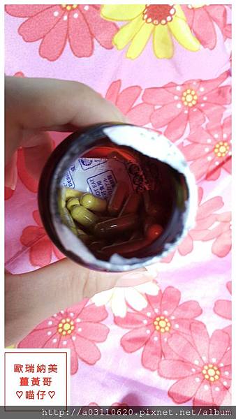 IMG_20151106_164637.jpg 試用