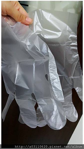 IMG_20170319_211644.jpg 試用