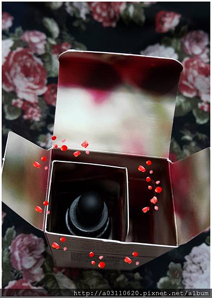 IMG_20170409_225838.jpg 試用