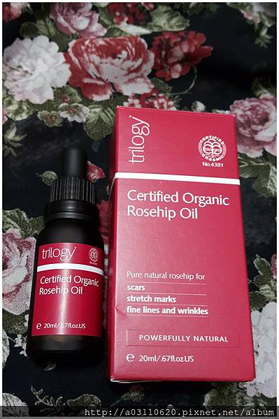 IMG_20170409_225753.jpg 試用