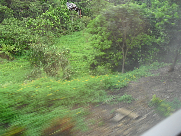 松山→礁溪火車沿途風光