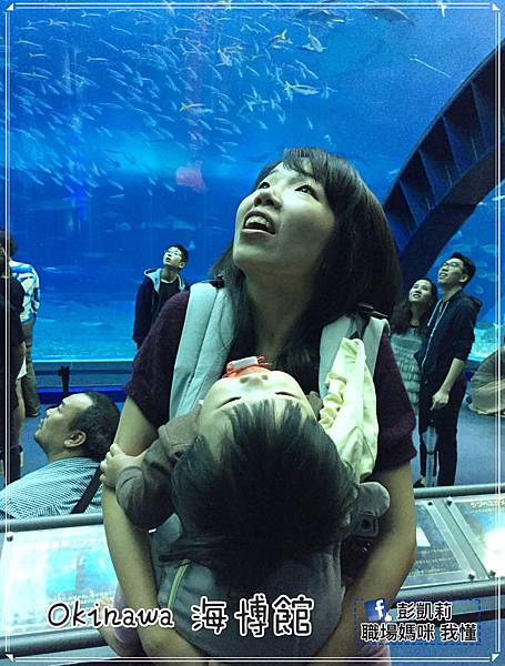 沖繩14~17_170112_0142_meitu_3.jpg 沖繩14~17_170112_0142_meitu_3.jpg