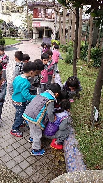 校園祕密花園 (13).JPG