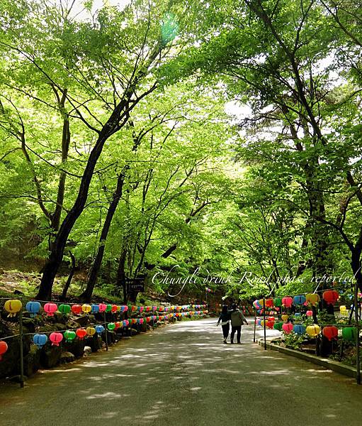 釜山慶州大邱五日遊_8200