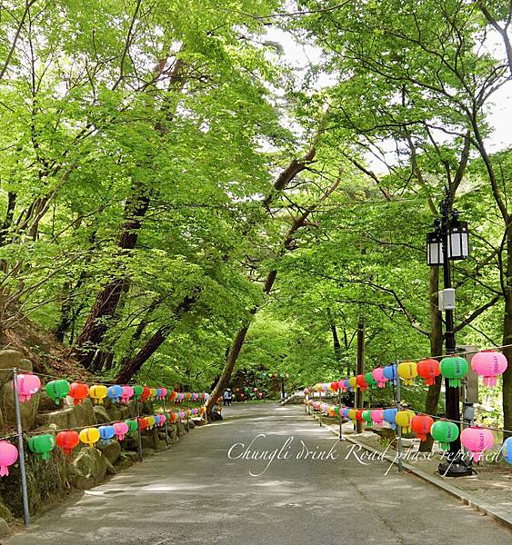 釜山慶州大邱五日遊_2461