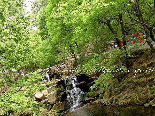 釜山慶州大邱五日遊_9429