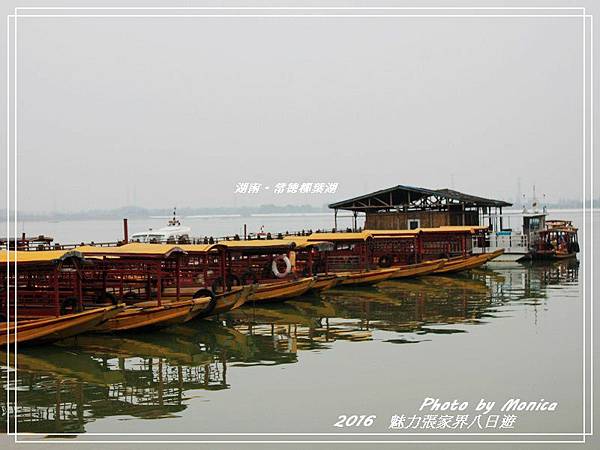 湖南。常德柳葉湖(11).jpg 湖南。常德柳葉湖(11).jpg