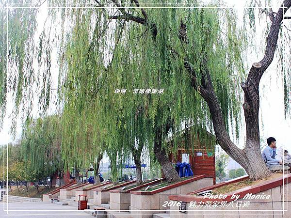 湖南。常德柳葉湖(17).jpg 湖南。常德柳葉湖(17).jpg