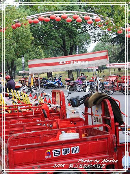 湖南。常德柳葉湖(20).jpg 湖南。常德柳葉湖(20).jpg