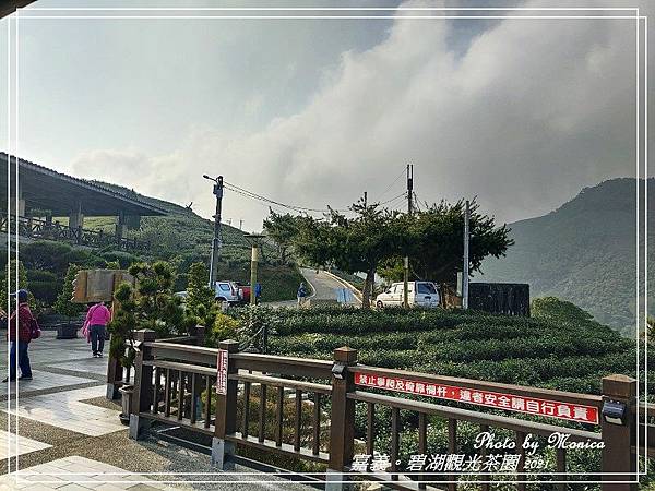 碧湖觀光茶園 2021(14).jpg