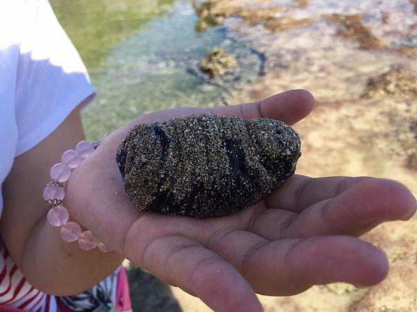 S__6284621 S__6284621