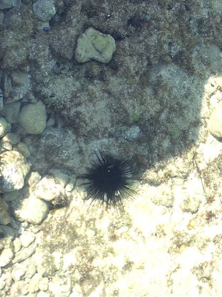 S__6284626 S__6284626