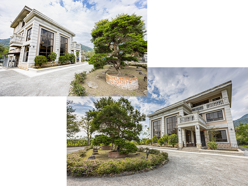 【南投清境民宿推薦】淺藏風歌｜三層樓獨棟包棟、坐擁山景與觀景