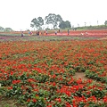 花海農場