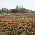 花海農場