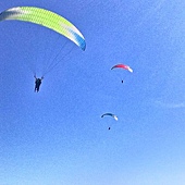 1444795495907.jpg 1444795495907.jpg