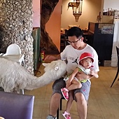 20160627_135551