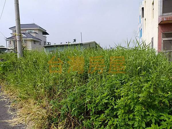 竹田國小豪宅建地_191101_0010.jpg