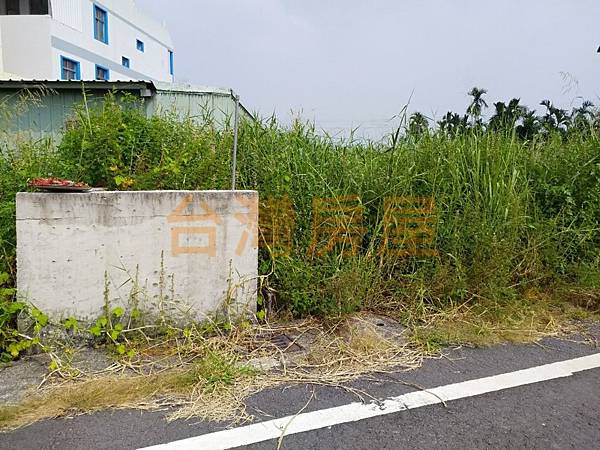 竹田國小豪宅建地_191101_0008.jpg