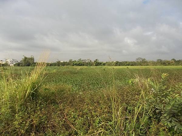 宮北里左側鐵路內水池