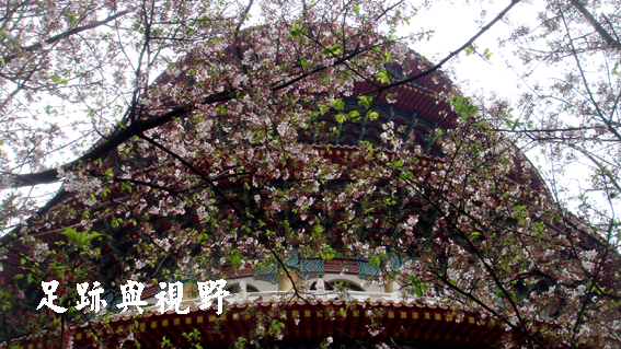 13天壇由右後方往上拍.JPG 13天壇由右後方往上拍.JPG