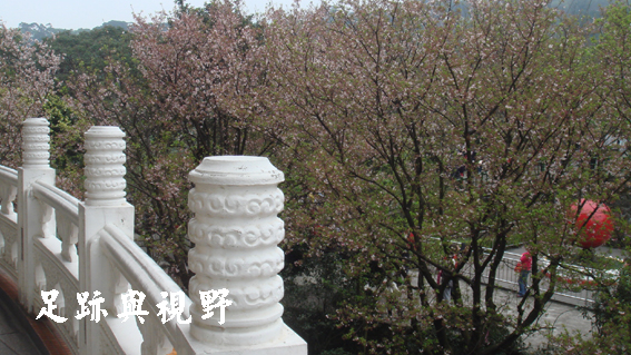 12就是拍這樣子啦~.JPG 12就是拍這樣子啦~.JPG