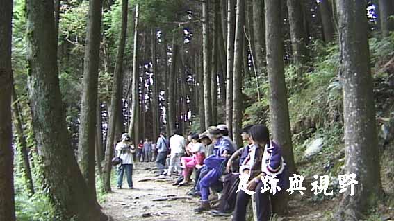 40最輕鬆好走且快的步道.JPG 40最輕鬆好走且快的步道.JPG