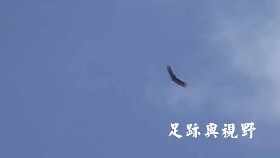 08驚蟄過後的氣氛慢慢帶動起來.JPG 08驚蟄過後的氣氛慢慢帶動起來.JPG